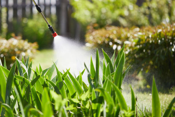24/7 Emergency Cockroach Control experts in St. Augustine South, FL
