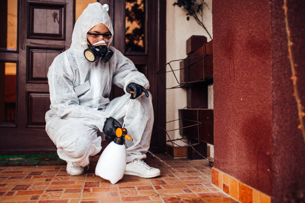 Reliable Cockroach Control contractor in St. Augustine South, FL by Nex Pest Control