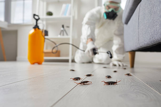Affordable Cockroach Control solutions in St. Augustine South, FL